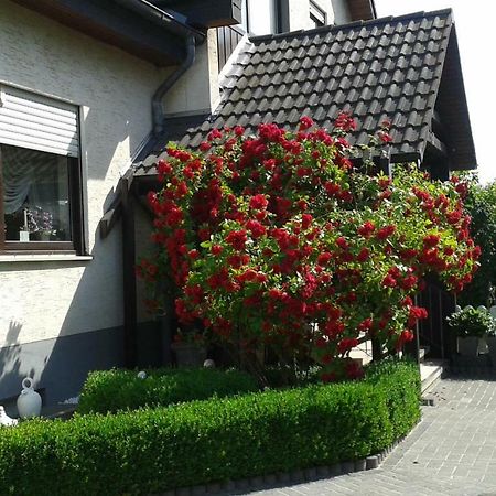 Ferienwohnung Raupe Fritzlar Ngoại thất bức ảnh