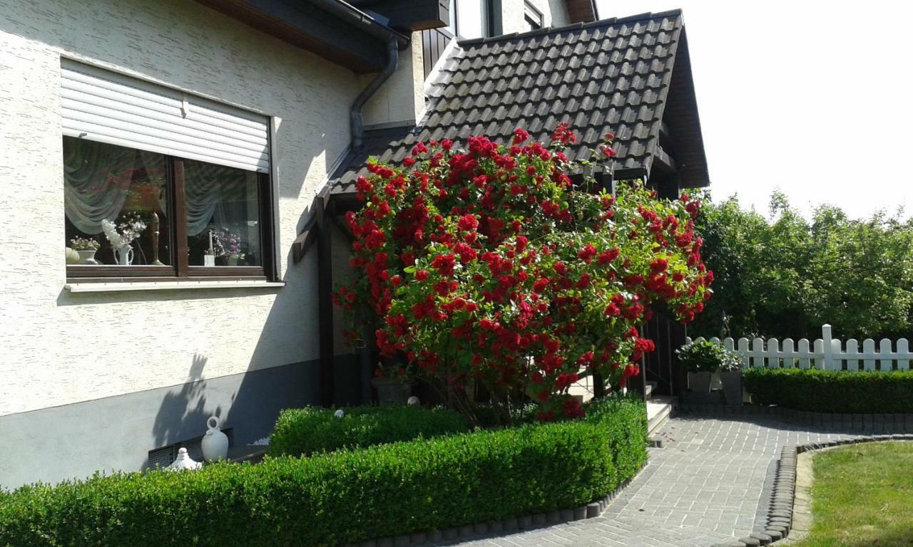 Ferienwohnung Raupe Fritzlar Ngoại thất bức ảnh